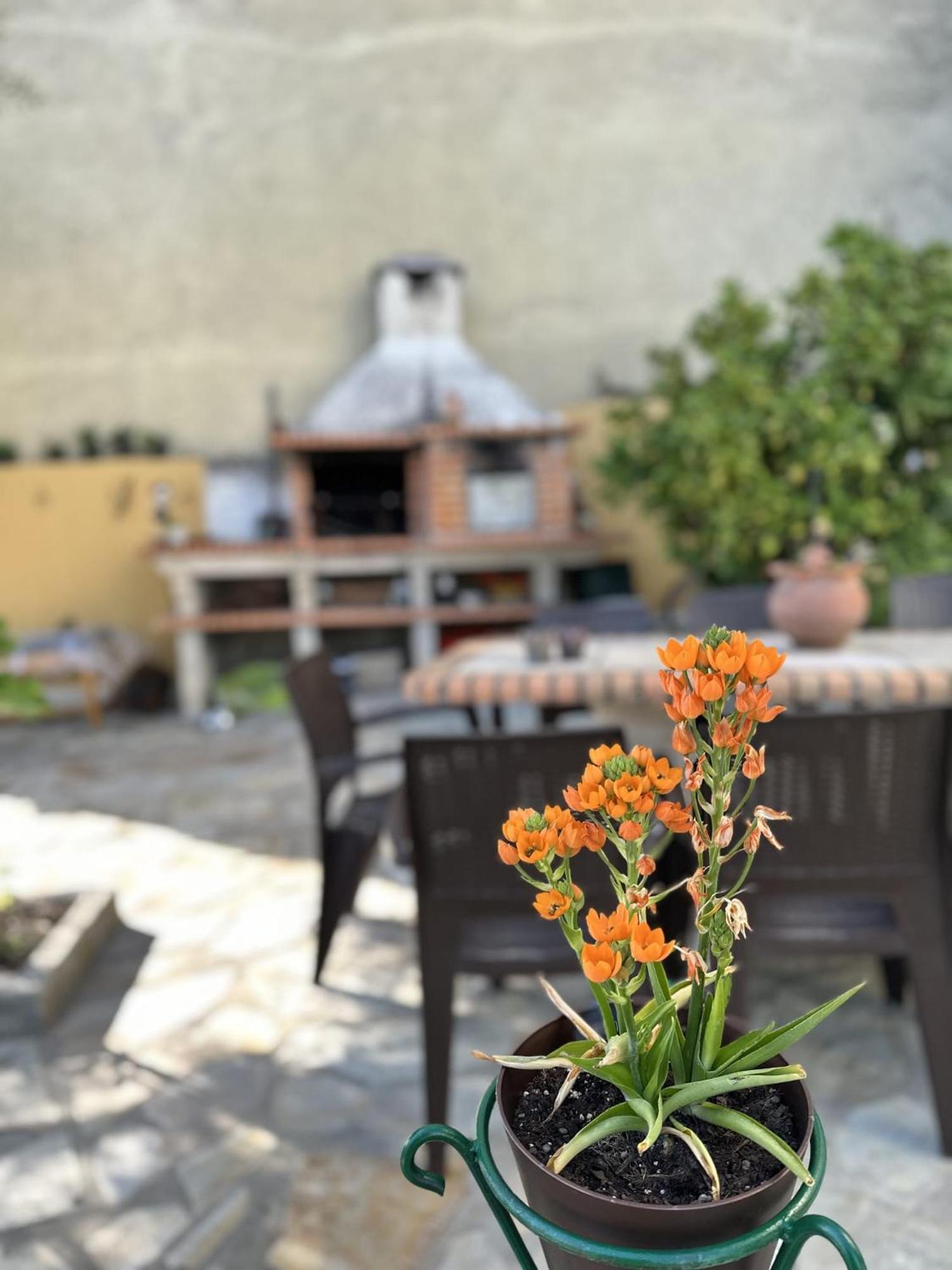 Alojamento local Os Maias Mirandela Exterior foto